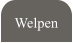 Welpen